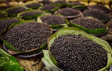 Tajne moći acai bobica